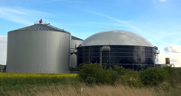 Biogas di Indonesia: Cara Menghasilkan Energi Bersih dari Limbah