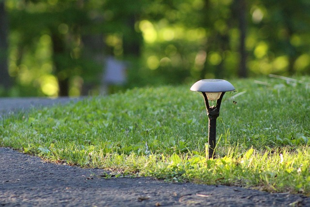 Lampu Solar Cell: Tenaga Matahari 